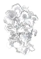 Nellien Brewer, Oyster I, 2024, digital text and print on paper