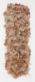 Nina Kruger, Remnant, 2024, plant and animal fibres