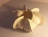 Petra Thorsen, Echinoderm, 2025, handbuilt from earthenware with grog, fired at 1100°C