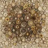 Sharle Matthews, Trusting in the Rhythm of Nature, 2025, paper pulp on board