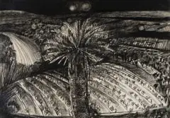 Michael Hallier, Moonlit Cycad in a Landscape, 1987, charcoal on paper