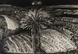 Michael Hallier, Moonlit Cycad in a Landscape, 1987, charcoal on paper