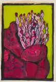 Brian Bradshaw, Pink Cactus
