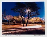 Obie Oberholzer, Acacia Tortilis. North West Province. SA., hand-printed colour photograph