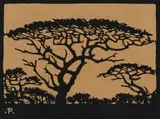 Jacobus Hendrik Pierneef, Doringboom, Rustenburg Tvl (Thorn Tree, Rustenburg Transvaal) (Nilant 98), 1923, linocut on paper