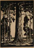 Jacobus Hendrik Pierneef, Bloekombome (Blue Gum Trees) (Nilant 76)