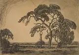 Jacobus Hendrik Pierneef, Camel Thorn, Springbok Flats, 1928, etching on paper