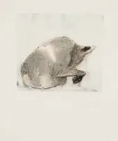 Alan Crump, Animal Series III, pencil and watercolour on paper