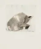Alan Crump, Animal Series III, pencil and watercolour on paper