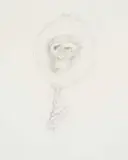 Judith Mason, A Page for an Engen Bestiary - Reflection, pencil on paper