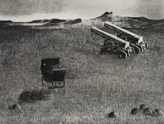 Pippa Skotnes, Landscape with Canons, Perambulator and Dog, etching on paper