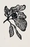 Fruit and Leaves by Walter Battiss, woodcut on paper, sold Jun 2025