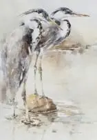 Barbara Siedle, Herons, watercolour on paper
