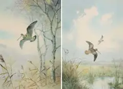 John Cyril Harrison, Bird in a Wetland Landscape; Bird in a Forest Landscape, two, 1973, photolithograph on paper