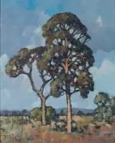 Conrad Theys, Blue Gum Tree, 1987, oil on artist's board