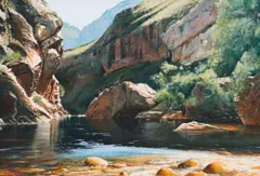 Andrew Cooper, Elandspad River, Du Toits Kloof, acrylic on canvas