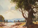 Titta Fasciotti, A (sic) Old Oak Tree near George, oil on board