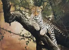 Leopard in a Tree by Hannes du Plessis, oil on board, offered Jul 2026