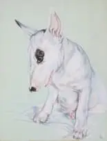 Bull Sykes by Diane Victor, 1999, pastel and charcoal on paper, offered Jul 2026