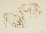 Zakkie Eloff, Warthogs, watercolour on paper laid down on board
