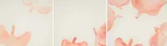 Mark Hipper, Boys, triptych, 1996, pastel on paper