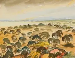Stefan Ampenberger, Free State Landscape with Thorn Trees, watercolour on paper