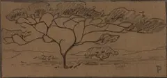 Tree by Jacobus Hendrik Pierneef, charcoal on paper, offered Jul 2026