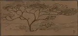 Jacobus Hendrik Pierneef, Tree, charcoal on paper