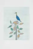 Keiko Minami, Aigrette