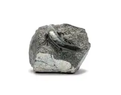 John Carlyon, Lizzard (sic), carved Cornish serpentine
