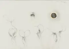 Judith Mason, Adversary in the Garden IV, pencil and chine collé on paper