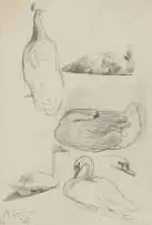 Maggie Laubser, Bird Studies, sketch, pencil on paper