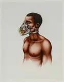 Norman Catherine, Can't Speak No Evil