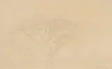 Jacobus Hendrik Pierneef, Bushveld Landscape with Acacia Tree, pencil on paper