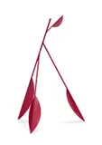 Strijdom van der Merwe, Leaf, painted steel