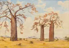 Erich Mayer, Baobabs, 1959, oil on canvas