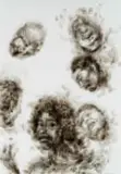 Diane Victor, Kali I, 2024, smoke drawing on paper