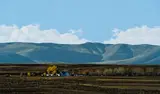 John Meyer, Wilgebosch Afternoon, acrylic on board