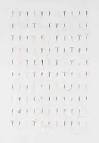 Willem Boshoff, Alchemical Sigils, 2012, used and sterilised intrauterine devices mounted on paper