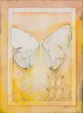 Michael Heyns, Butterfly Wings