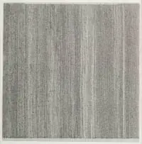 Richard Penn, Survey IV, 2013, pen on paper