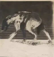 Albert Adams, Hyena, 1977, charcoal on paper