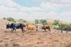 Sipho Ndlovu, Amagoduka (Going Back), 2020, oil on canvas