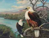 Phillip Alexander Clancey, Fish Eagle, 1974, oil on board