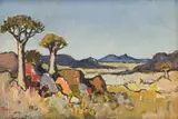 Conrad Theys, Kokerbome
