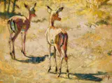Two Buck by Zakkie Eloff, oil on canvas, sold Dec 2025