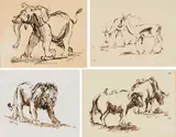 Hennie Niemann jnr, Wildlife Animals, four