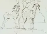 Kudu Grazing by Zakkie Eloff, ink on paper laid down on board, offered Dec 2025