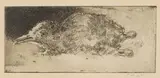 François Krige, Bird, etching on paper