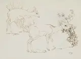 Duikers Grazing by Zakkie Eloff, ink on paper, sold Dec 2025